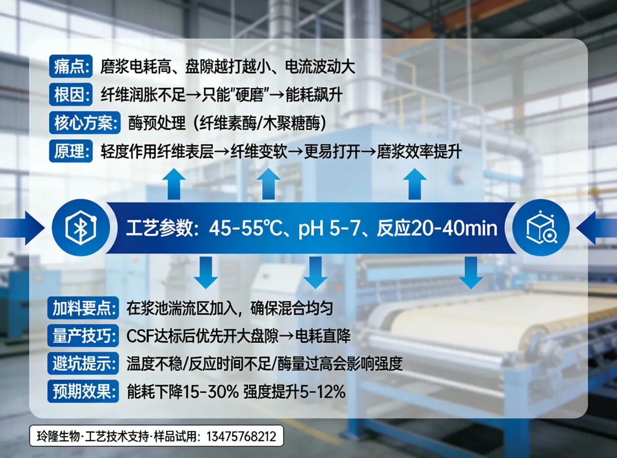 “造紙廠怎么降低磨漿電耗？”打漿酶預(yù)處理在造紙廠的真實(shí)可落地方案（工廠版解析）