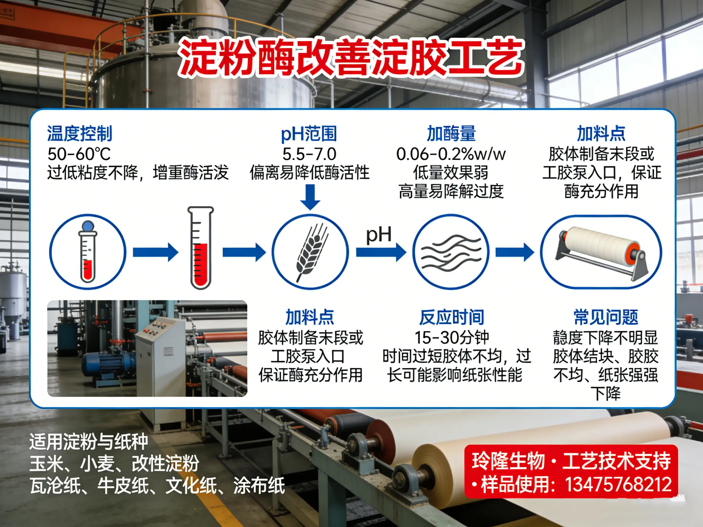 淀粉酶改善造紙用淀粉膠的工藝應(yīng)用與關(guān)鍵注意事項(xiàng)