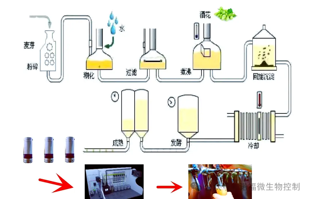 淀粉酶水解淀粉的深度解析：從大分子到精細(xì)糖譜