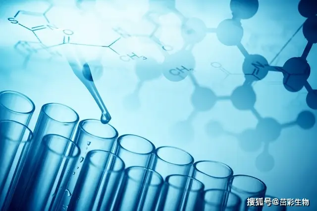 硫氧還蛋白過(guò)氧化物酶（TPX）檢測(cè)|茁彩生物