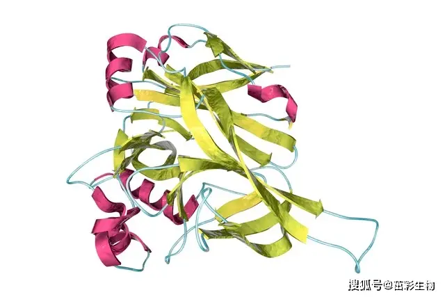 硫氧還蛋白氧化還原酶（TrxR）檢測(cè)|茁彩生物