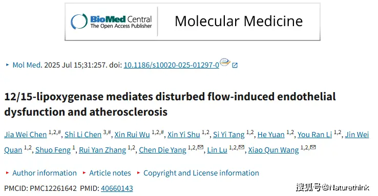 12/15-脂氧合酶介導(dǎo)血流紊亂誘導(dǎo)的內(nèi)皮功能障礙與動(dòng)脈粥樣硬化