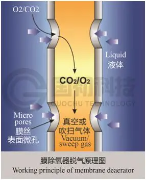 葡萄酒除氧技術(shù)提升品質(zhì)與延長(zhǎng)保質(zhì)期