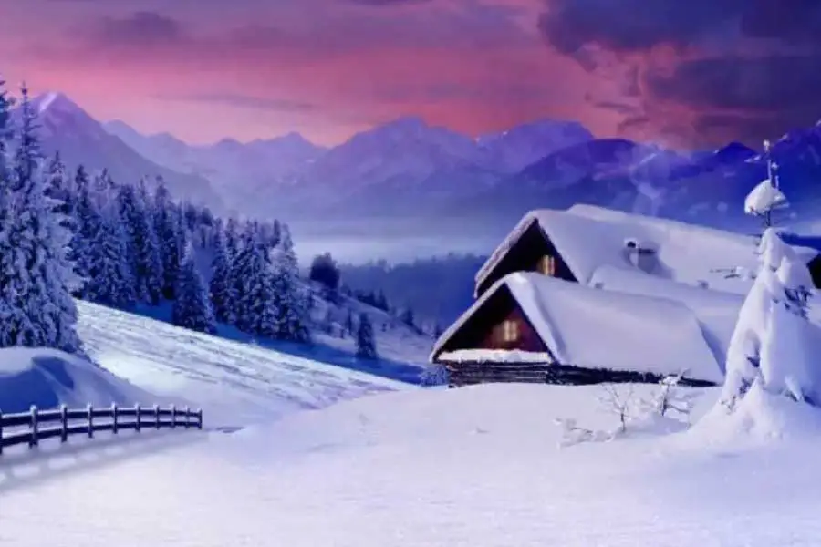 基因編輯技術(shù)培育抗病農(nóng)作物