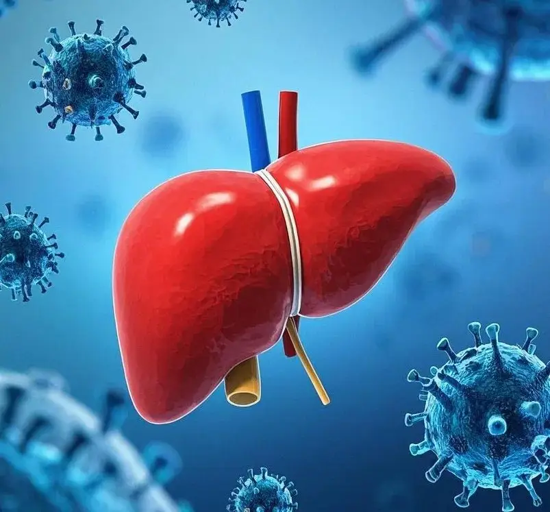 得了乙肝我們該怎么辦？降酶治療還是抗病毒治療呢？