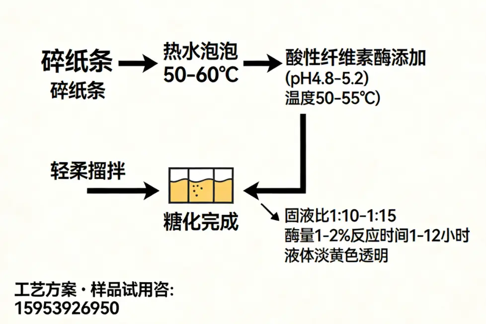 從廢紙到可發(fā)酵糖：紙?zhí)腔に嚤芾字改?溫度、pH與酶活性的精確控制