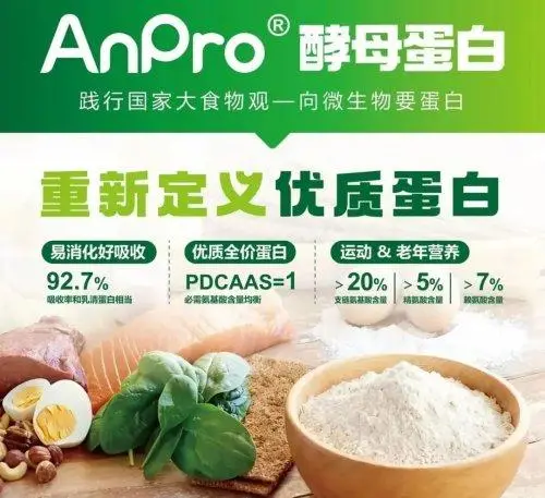 酵母蛋白：食品行業(yè)的“新能源”，健康生活的優(yōu)選