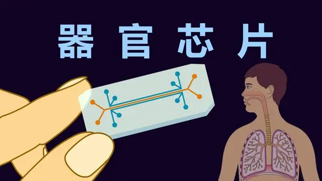 百億研發(fā)打水漂？為什么動物試完有效的藥，一到人身上就失??？