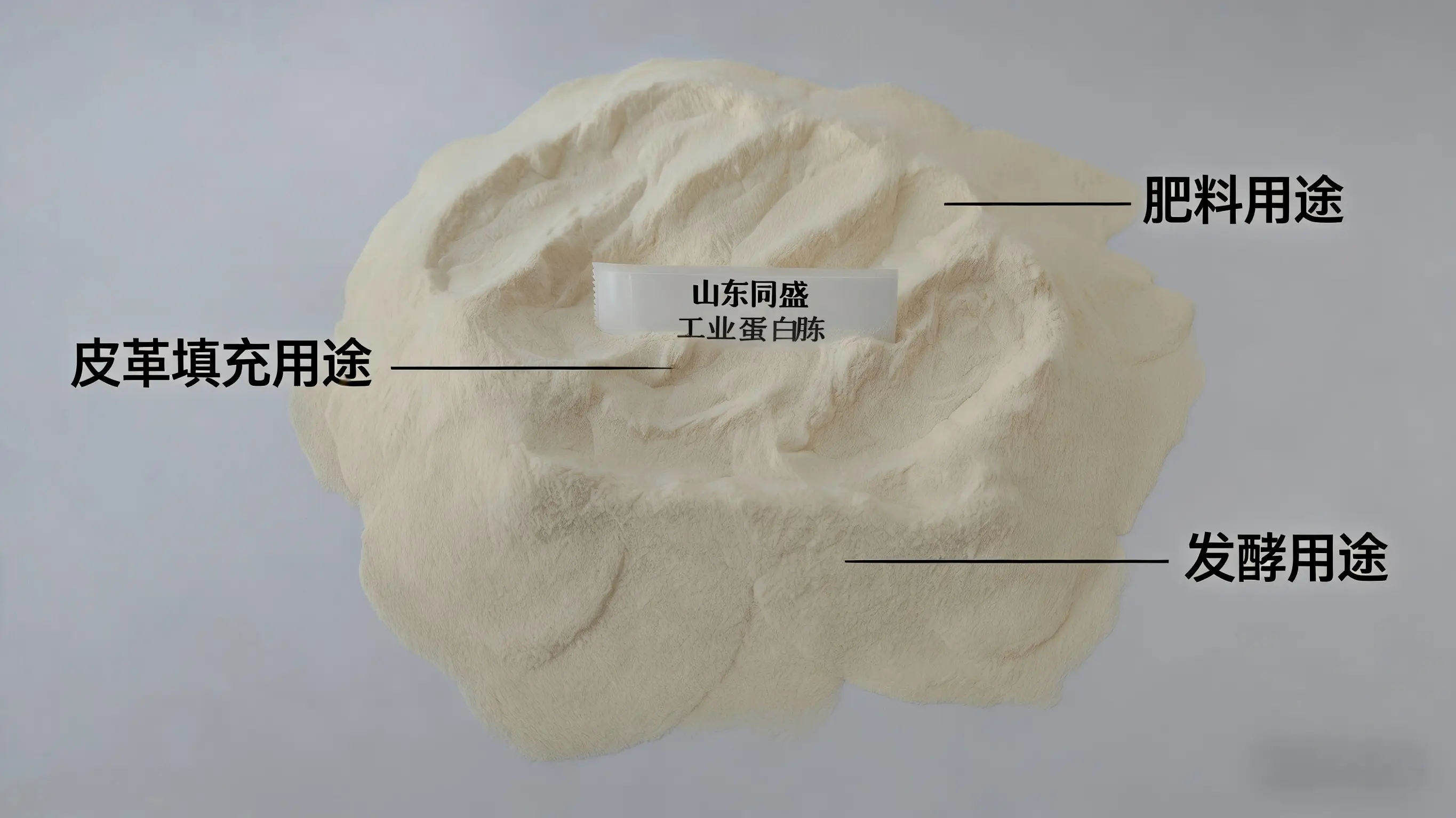 同盛工業(yè)蛋白胨：源自牛皮的多功能原料，三大領(lǐng)域大展身手