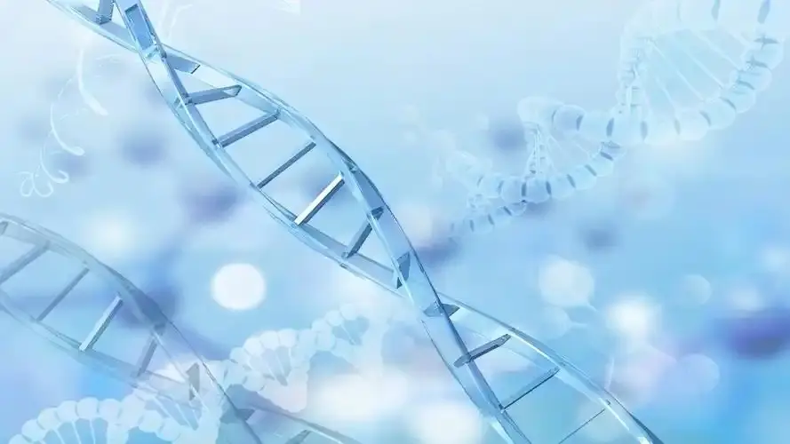 生化環(huán)材四大天坑，哪個天坑最值得報考？