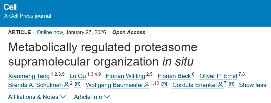 【分享】Cell|窺探細(xì)胞工廠內(nèi)部，首次在生理環(huán)境下捕獲代謝調(diào)控的蛋白酶體組裝體