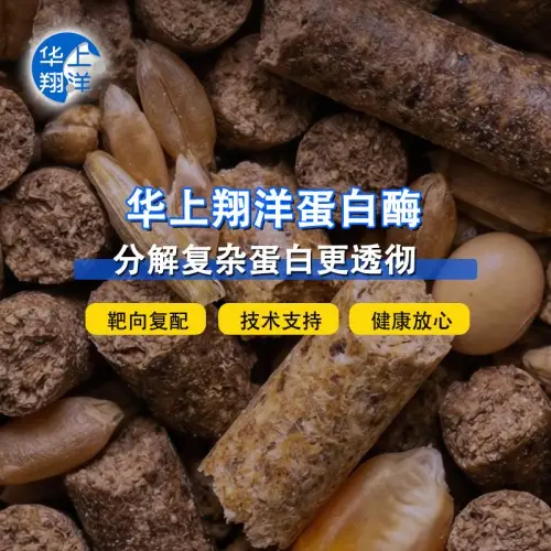 2026年評(píng)價(jià)高的堿性蛋白酶,風(fēng)味蛋白酶,絲氨酸蛋白酶廠家選購(gòu)攻略與推薦