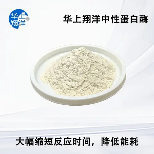 2026年評(píng)價(jià)高的絲氨酸蛋白酶,植物蛋白酶,風(fēng)味蛋白酶廠家推薦及選擇指南