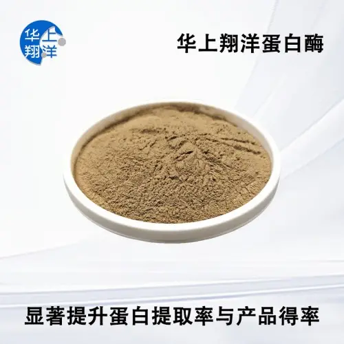 2026年比較好的絲氨酸蛋白酶,酸性蛋白酶,植物蛋白酶廠家口碑推薦榜